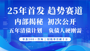 2025年首次亮相，真正意义上的事业心跑道，客咨持续，单月轻轻松松破十-创业资源网