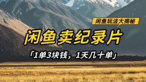 淘宝闲鱼纪实片1单3元钱,1天几十单,新项目平稳有希望-创业资源网