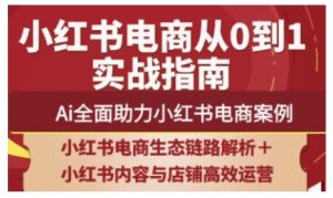 2025小红书电商全链路营销经营,Ai全面助力小红书电商实例-创业资源网