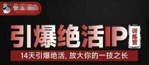 点爆绝技IP夏令营，14天点爆绝技，变大你一技之长-创业资源网
