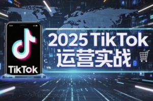 2025TikTok网店运营,把握TikTok店铺管理关键方法,实现低成本高转化-创业资源网