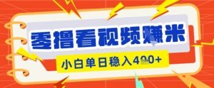 零撸播放视频躺Z新项目,看一个20秒的视频得到 0.3 米,新手一天盈利多张,看越多奖赏权重值越大-创业资源网