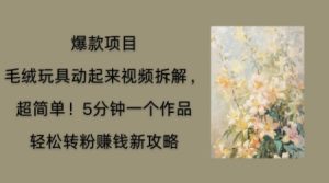 毛绒娃娃运动起来新项目拆卸，三四分钟一个作品，轻轻松松路转粉赚钱新模式-创业资源网