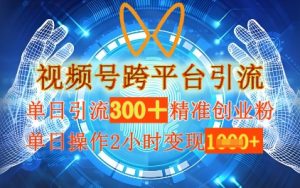 微信视频号跨平台推广,单日实际操作2钟头,单日引流方法300 精确自主创业粉,单日转现多张-创业资源网