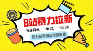 B站暴力拉新:一单12,一天几张,0门槛拉新(附渠道和教程)-创业资源网