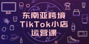 东南亚地区跨境电商TikTok小商店运营课,把握店面设置与客户转化关键方法-创业资源网