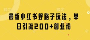 全新小红书的歪门邪道游戏玩法,单日引流方法200 自主创业粉-创业资源网