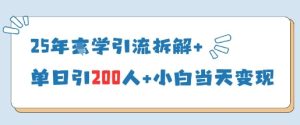 25年国学经典引流方法拆卸 单日引200人 新手当天就能转现-创业资源网