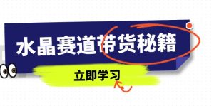 紫水晶跑道卖货秘笈,国学经典融合、小视频养号、摄影技巧、直播带货话术等相关信息-创业资源网