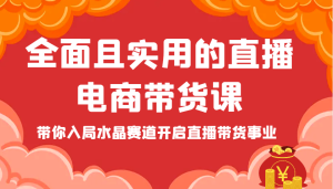 全方位且实用的直播间电商直播带货课,陪你进入紫水晶跑道打开直播卖货工作-创业资源网