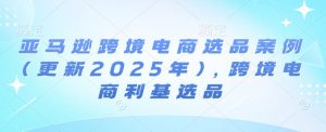 亚马逊平台跨境电商选品实例(升级2025年4月),跨境电子商务冷门选款-创业资源网