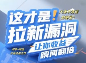 巨头不愿讲的隐秘,这才是真正引流系统漏洞,使你盈利一瞬间翻番-创业资源网