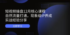 小视频股票操盘12月主干课程:自然搜索流量连通,卓越IP培养,实践经验共享-创业资源网