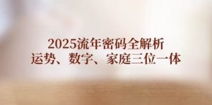 2025流年密码全解析,运势、数字、家庭三位一体-创业资源网