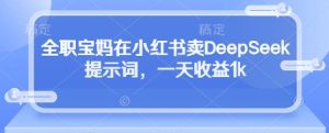 全职宝妈在小红书卖DeepSeek提示词,一天收益1k-创业资源网