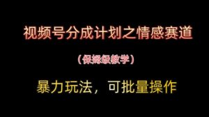 微信视频号分为方案之情绪跑道暴力行为游戏玩法，可批量处理，家庭保姆级课堂教学-创业资源网