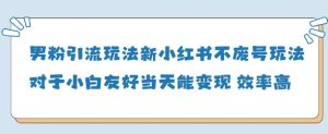 粉丝引流方法游戏玩法(新),游戏玩法友善做得好当天就能转现-创业资源网