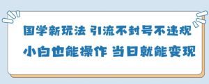 国学经典新模式，引流方法防封号不违规新手也可以操控，当日就可转现-创业资源网