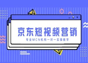 京东商城新媒体营销新项目，技术专业MCN组织一对一实际操作课堂教学-创业资源网