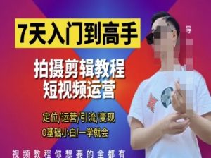 7天入门到大神，短视频剪辑运营高手课，精准定位 经营 引|流 转现，0基本新手一学就会-创业资源网