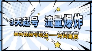 一天收益多张,微信视频号最新生态—古诗鉴赏,3天必起,总流量发生爆炸,新手也可以快速上手-创业资源网