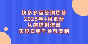 拼多多运营训练营2025年4月更新,从店铺到流量,实现日销千单可复制-创业资源网
