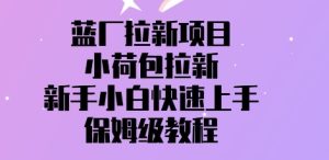 蓝厂拉新项目,小荷包引流,新手入门快速入门,家庭保姆级实例教程-创业资源网