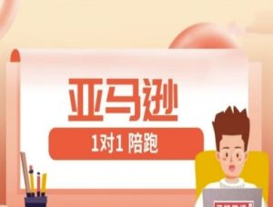 亚马逊平台1对1陪跑课(FBA/FBM精铺)跨境电商亚马逊平台实例教程-创业资源网