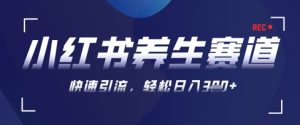 AI 可画形成小红书的健康养生著作，初学者暴力行为养号，引流矩阵实际操作，轻轻松松日入3张-创业资源网
