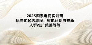 2025淘宝电子商务实培训班:规范化出单步骤,智能化计划和引流,群体营销推广策略等-创业资源网