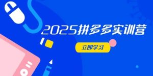2025拼多多平台实践营：深入剖析经营重要，助推电商人快速升级-创业资源网