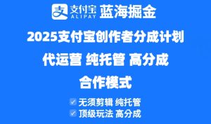 2025支付宝钱包原创者分为方案代运营公司，纯代管，高分为，合作方式！-创业资源网