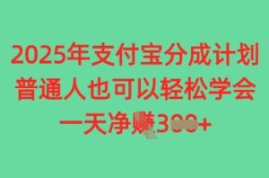 2025年支付宝钱包分为方案，平常人也可以快速掌握，一天盈利3张-创业资源网