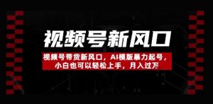 视频号带货新风口，AI模版暴力起号，小白也可以轻松上手，月入过W-创业资源网