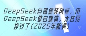 DeepSeek自媒体平台轻创业，用DeepSeek运营自媒体，很容易挣钱了(2025年新授课)-创业资源网