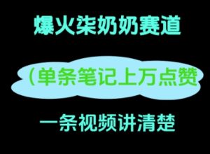 小红书的爆红柒姥姥,13 天增粉 8.7 W,全过程拆卸-创业资源网