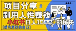 小红书的日入1k ？揭密人的本性判断力，新手3min入门，关注点赞爆满！-创业资源网