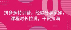拼多多平台夏令营，心得分享实际操作，课程内容时间打满，干货知识打满(升级25年4月)-创业资源网