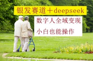 青发跑道 deepseek虚拟数字人示范区转现,新手也可以实际操作-创业资源网