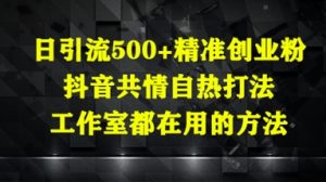 日引流方法500 精确自主创业粉,抖音视频同理心自然玩法,个人工作室都在用的方式-创业资源网