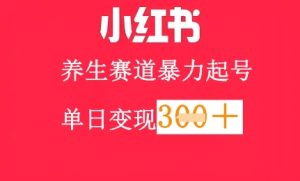 小红书的健康养生跑道,暴力行为养号,轻轻松松日入3张-创业资源网