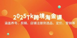 2025Tk跨境电商挖金课:包含起号、视频剪辑、店铺注册到选款、标价、销售等-创业资源网