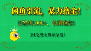 闲鱼引流，暴力撸金，日盈利1000+，长期稳定！-创业资源网