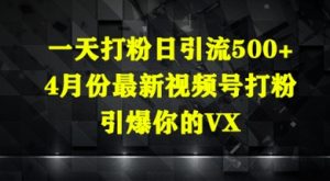 一天打粉日引流500+,4月份最新视频号打粉,引爆你的微信-创业资源网