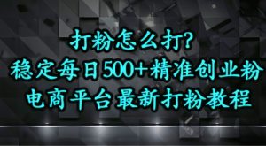 打粉怎么打?电商平台打精准创业粉,每日引流500+精准粉-创业资源网