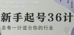 新手起号36计2.0，四年行业沉淀，上百条爆款视频经验一次性帮你搞定短视频问题-创业资源网