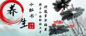 玩命受欢迎，用Deepseek小红书的女性朋友古声神韵健康养生爆品，新手轻轻松松制做，迅速取得结论-创业资源网