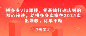拼多多vip课程，零基础打造店铺的核心秘诀，助拼多多卖家在2025卖出爆款，订单不断-创业资源网