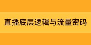 直播间底层思维与流量登陆密码：精准定位实体模型 实例拆卸，极速流承揽与数据优化攻略大全-创业资源网