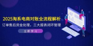 2025淘宝电子商务查账全过程分析，订单信息售后服务资产解决，三大报表闭环-创业资源网